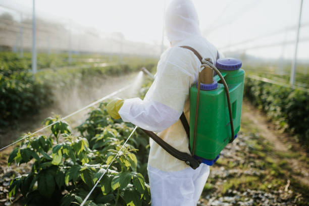 Best Commercial Pest Control Services  in Santa Fe Springs, CA